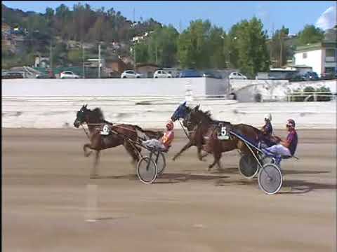 Trotto 08/09/2017 - 1ª corsa