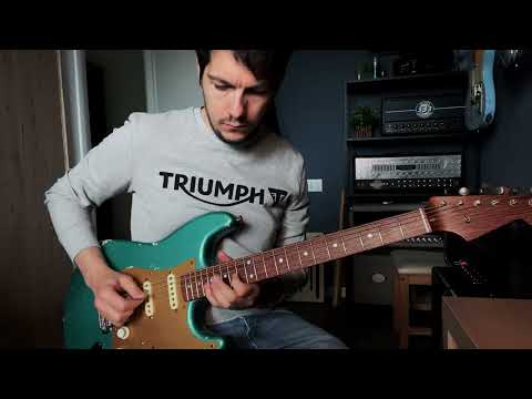 The Golden Rule - Biffy Clyro (guitar cover - new rosewood neck Strat)