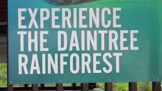 preview picture of video 'Daintree Rainforest, Daintree'