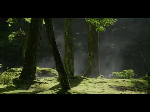 西芳寺｜Saihoji Temple 　　　Music by　haruka nakamura