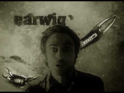 I Am Coming Back (In a Revenge Song) - King Curly