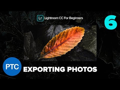 Importing Files Into Lightroom CC Lightroom CC for Beginners FREE Course 01