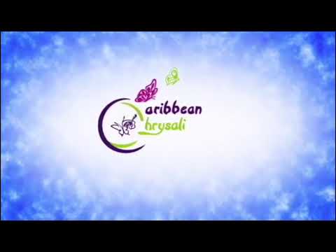 Cover cœur de Lévite 2  Souffle sur moi de Émilie CHARETTE   Par Lindsay et Lindya