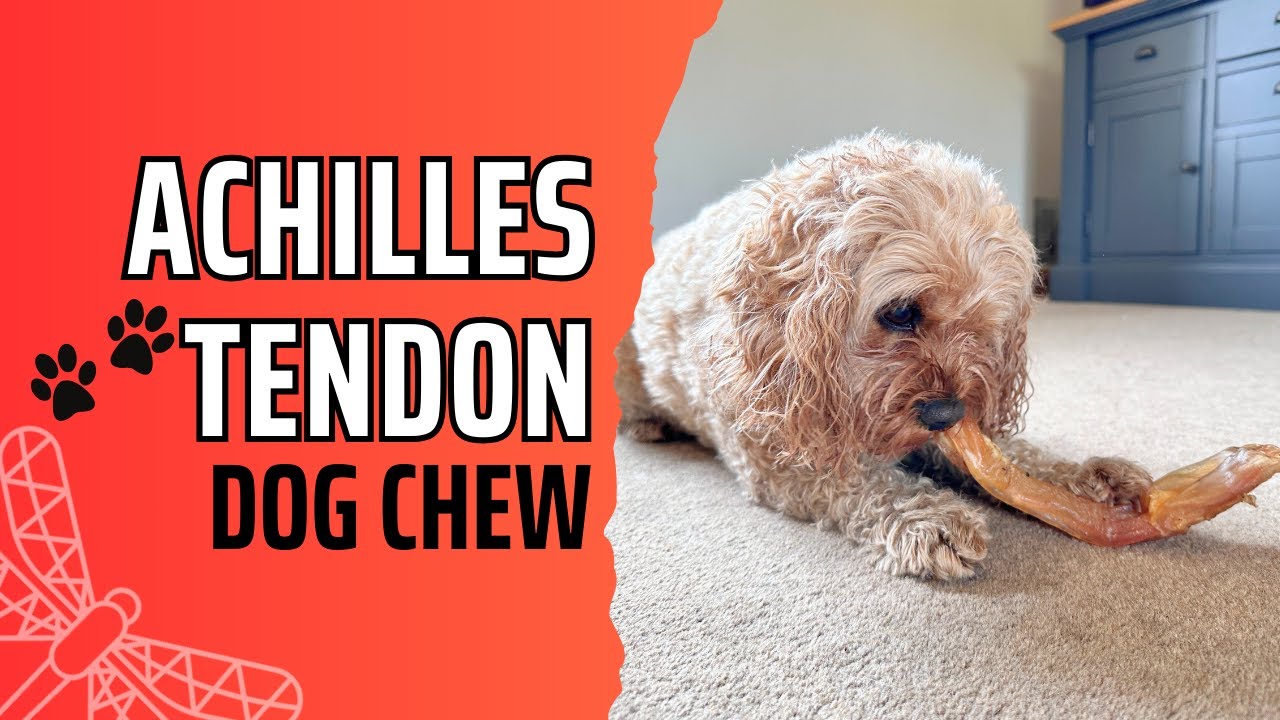 Beef Achilles Tendon for Dogs | Video