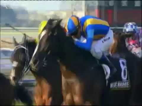 2016 BRC Doomben 10000