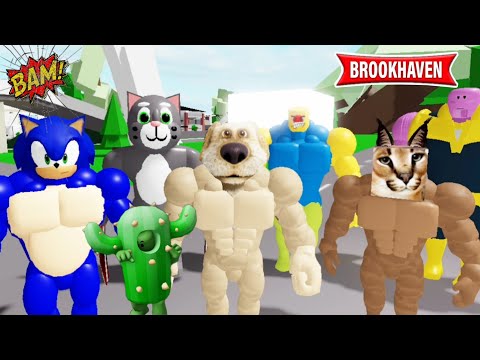 CACTUS ET LE COMBAT DES MUSCLES DANS DES ARÈNES INCROYABLE  ! ROBLOX - BROOKHAVEN RP