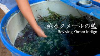 カンボジアの沈殿藍作りat IKTT伝統の森