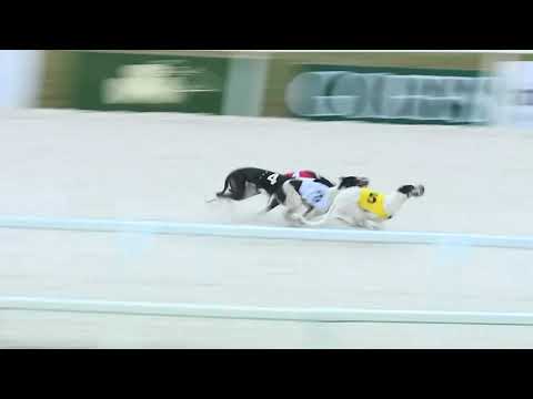 2017.11.11. 2. futam - Agár verseny