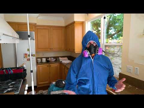YouTube Video Image 5
