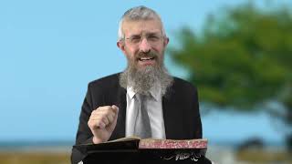 מסכת זבחים דף מו - 8 דקות של לומדות ועמקות בדרך הלימוד הישיבתית [Zevachim 46]