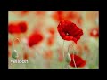 Mistletoe Time Pop Christmas Memories The Hit Crew Lyrics in description