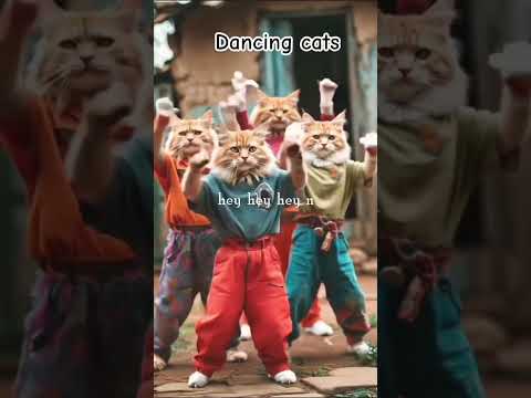 dancing cats 🎶😀