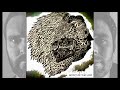 Stonekind Spirit Of The Void Full Album 2021