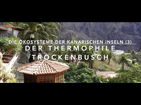 , title : 'Der Trockenbusch mit Palmen und Drachenbäumen - Ökosysteme der Kanaren (3)'