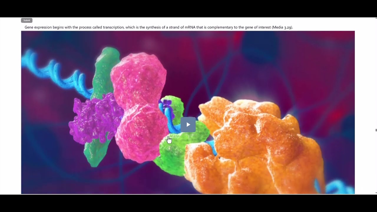 BIOL 152 Chapter 3 Part B