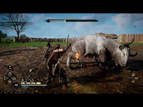 Assassin's Creed Valhalla - Bonnacon - Aelfred's Battle-Show