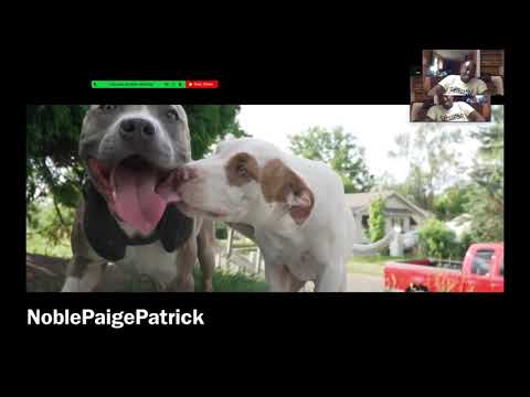 WhiteBoy Izack x King Cashes - Never Runnin Official Music Video Shot By MSV