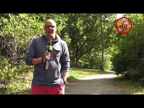 DBTL 2017 - Tervetuloa festareille!