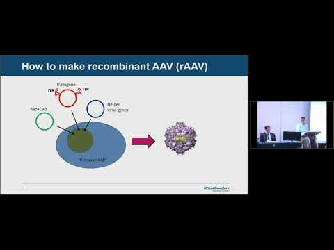 Basics of AAV Gene Therapy