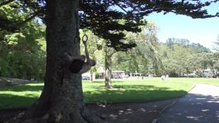 Skin the cat knees tucked half arms bent