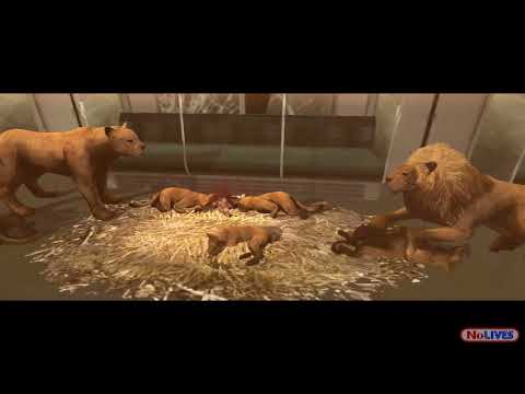 Tokyo Jungle - (Ep. 10) "You Lyin"