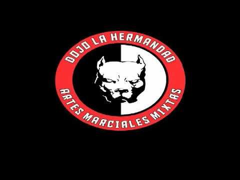 CHASQUI FC, ENRIQUE BRAULIO DOJO HERMANDAD VS LEANDRO TORRES TEAM CERBERUS FIGHT