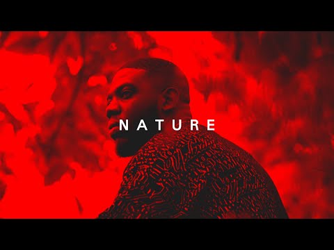 Instru Cloud/Trap Dinos x PNL x Ninho Type Beat 2021 - Nature (Prod. By MontaBeats)