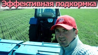 Ссылка