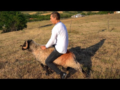 Dj sebi si Ciprian Balint ETNO - Ciobania-i viata mea