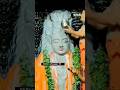 Mystery Of Bhadrakali Temple Warangal Badrakali Warangal Parvati
