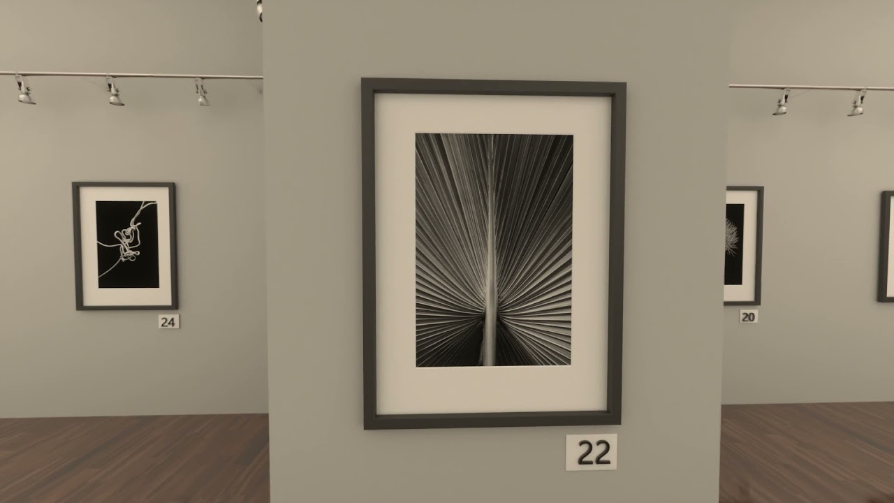 Muestra virtual thumbnail