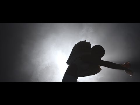 Vanbot - The Way You Say It (Official Video)