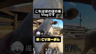 人生で初のエサやりをしました #羊 #vlog #shorts