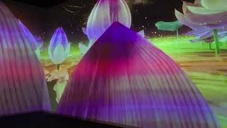 お浄土VR（OJODO） in  燈炬殿  at  真宗高田派本山  専修寺