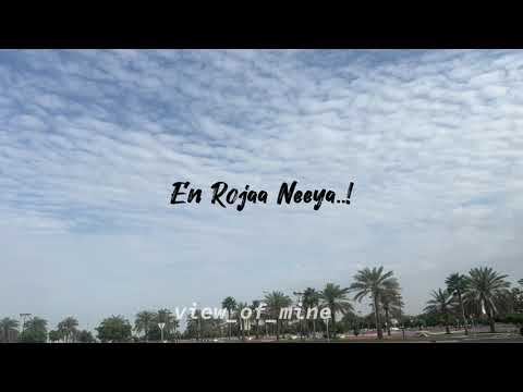 En Rojaa Neeye - Lyrics Video  | Kushi | Vijay Deverakonda, Samantha Ruth Prabhu| Hesham Abdul Wahab