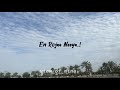 En Rojaa Neeye Lyrics Video Kushi Vijay Deverakonda Samantha Ruth Prabhu Hesham Abdul Wahab