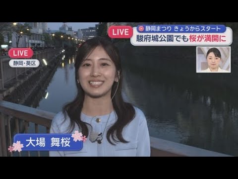 YouTube Video 【中継　静岡まつり】桜とライトアップのコラボ　昼間とはまた表情が違う夜の桜　大場舞桜アナウンサー