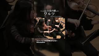 Download lagu 白鳥の湖 ワルツ mp3