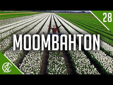 Moombahton Mix 2020 | #28 | The Best of Moombahton & Dutch Urban 2020 by Adrian Noble