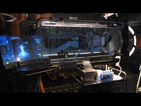 People not wearing their masks in the Queue at Flight of Passage at Animal Kingdom.