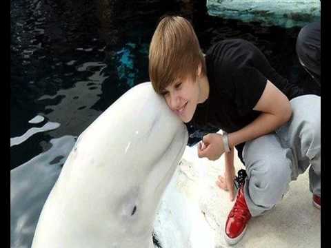 Roman Salzger - Gasoliner