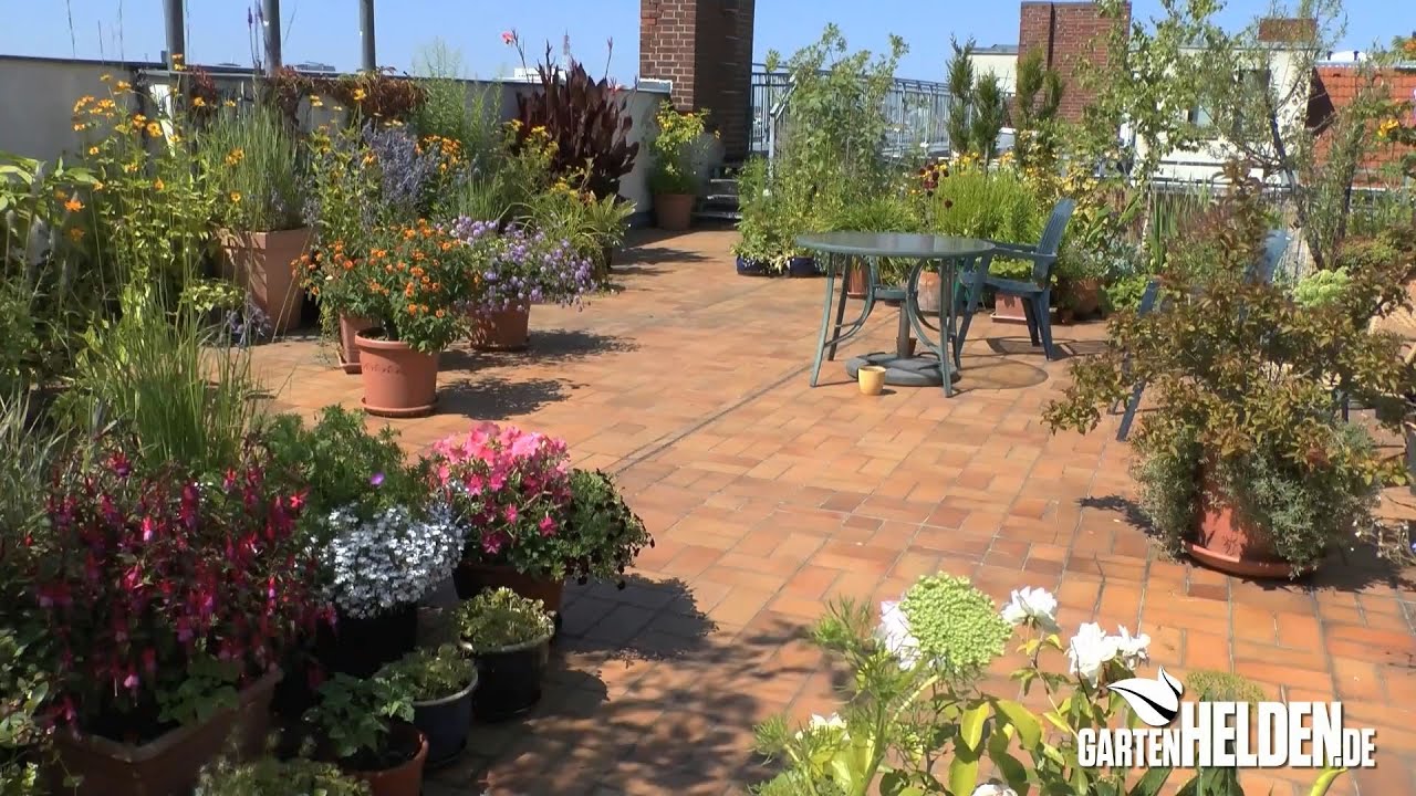 Rundgang durch einen Dachgarten in Berlin - gartenHELDEN.de
