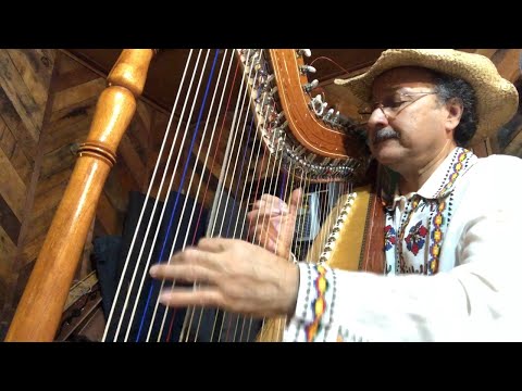 Mariano Gonzalez Master Harpist from Paraguay