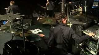 Einstürzende Neubauten (Paris 2010) [17]. Selbstportrait Mit Kater