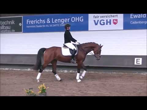 Kat. 17, Rivella von Rock Springs - 11. Dobrocker Schaufenster 2023