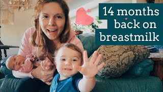 My Toddler returns to Breastmilk