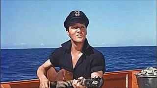 Elvis Presley Song Of A Shrimp HD