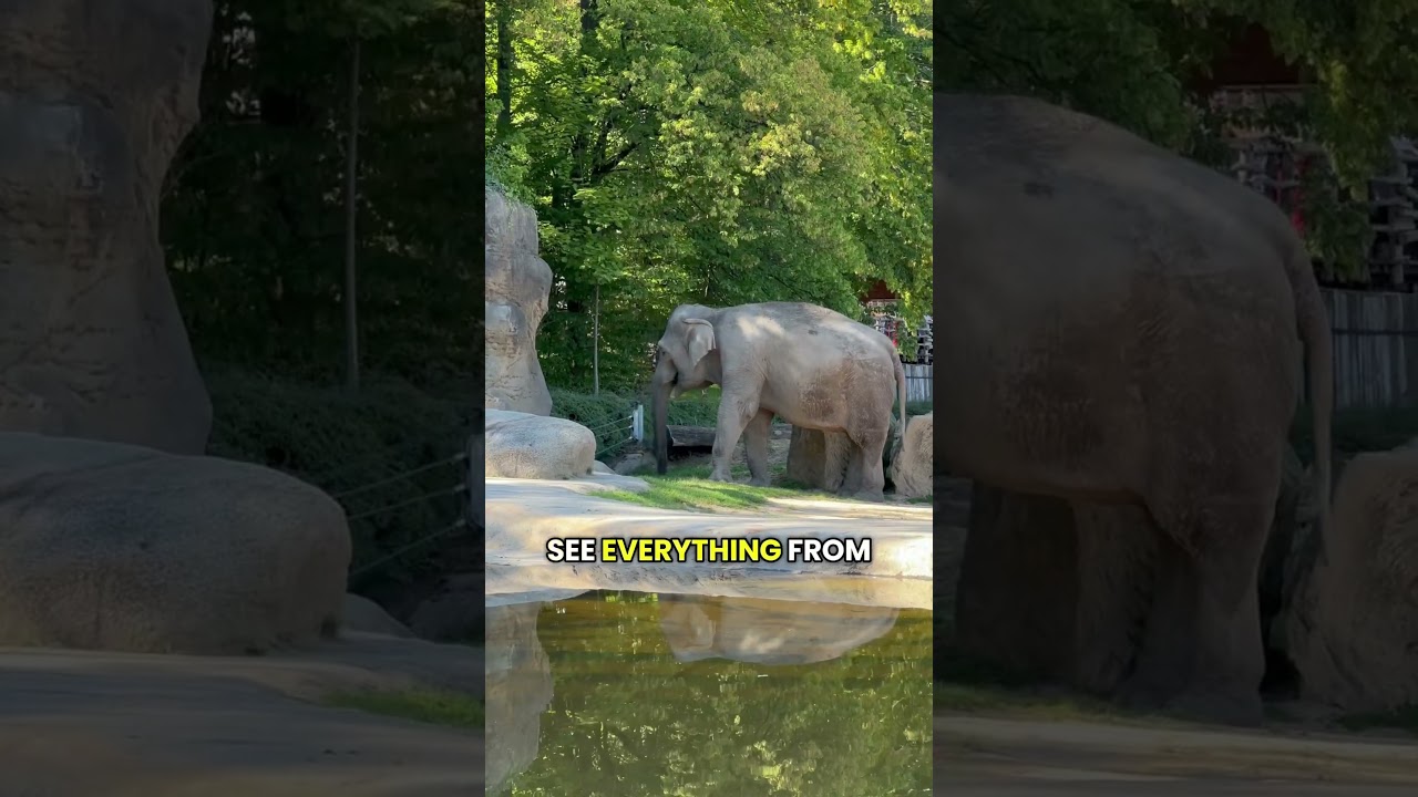 YouTube Short thumbnail