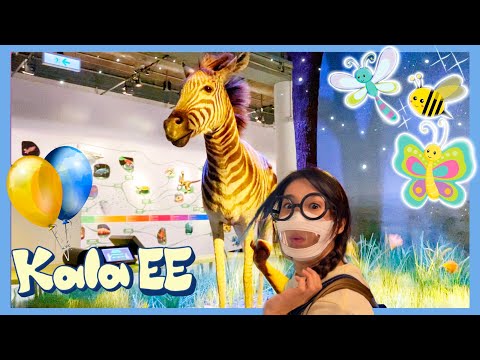 動物|昆蟲|博物館|科學系列二|Learning animals & insects at HK Science Museum|廣東話教學|兒童中文學習|親子活動|生活學習|生物多樣性