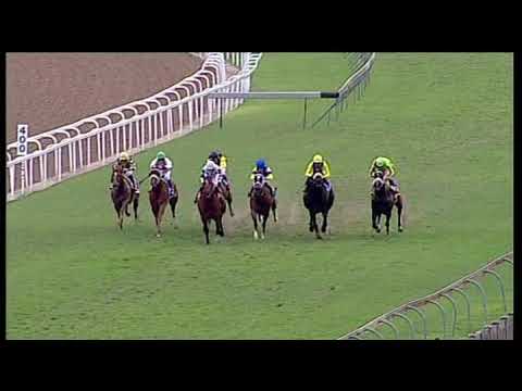 20191006 Hollywoodbets Greyville express clip Race 7 won by ULTRA MAGNUS